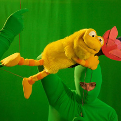 Welcome to Anhedonia