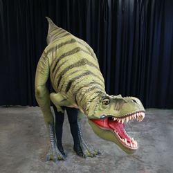 Field Station: Dinosaurs